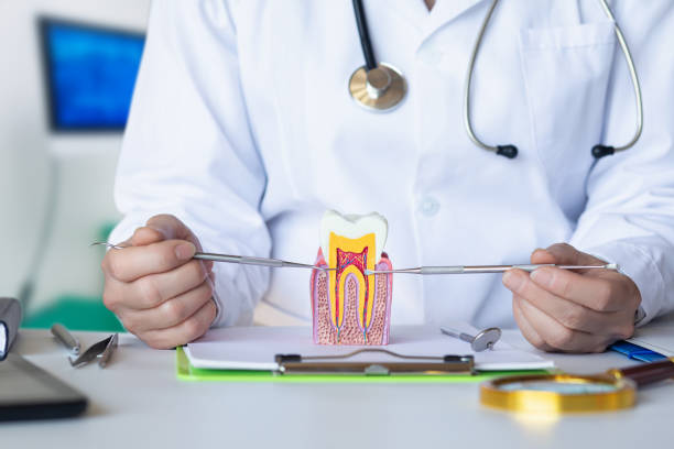 Best Dental Abscess Treatment in St Ignace, MI